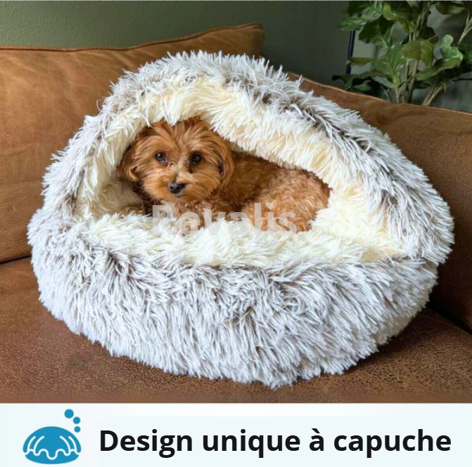 🐾 NidoCalme™ – Le refuge anti-stress pour chats & petits chiens