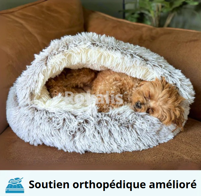 🐾 NidoCalme™ – Le refuge anti-stress pour chats & petits chiens