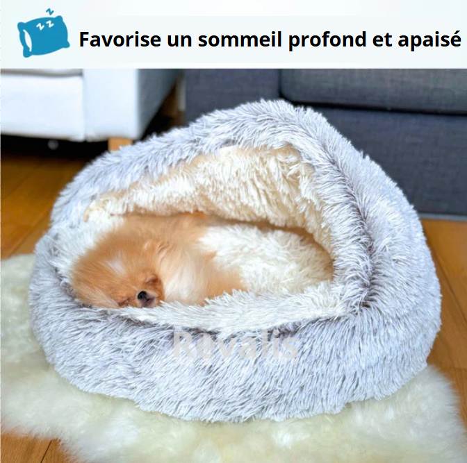🐾 NidoCalme™ – Le refuge anti-stress pour chats & petits chiens