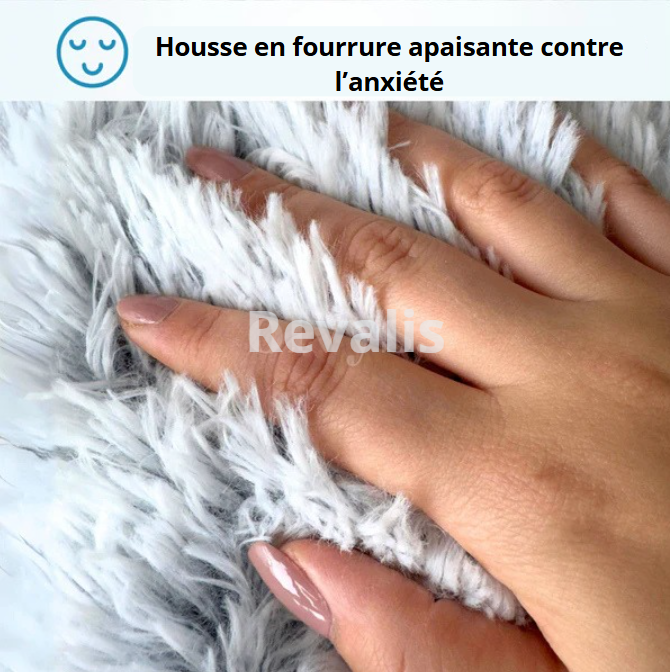 🐾 NidoCalme™ – Le refuge anti-stress pour chats & petits chiens