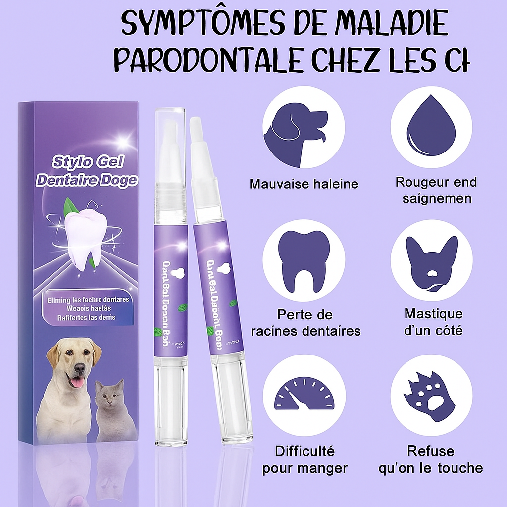 🐾 PetGlow™  - Stylo Gel Dentaire